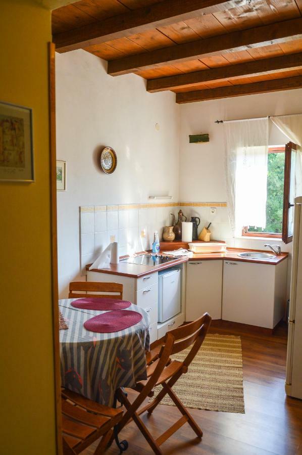 Apartment Zoja Pinezici  Luaran gambar